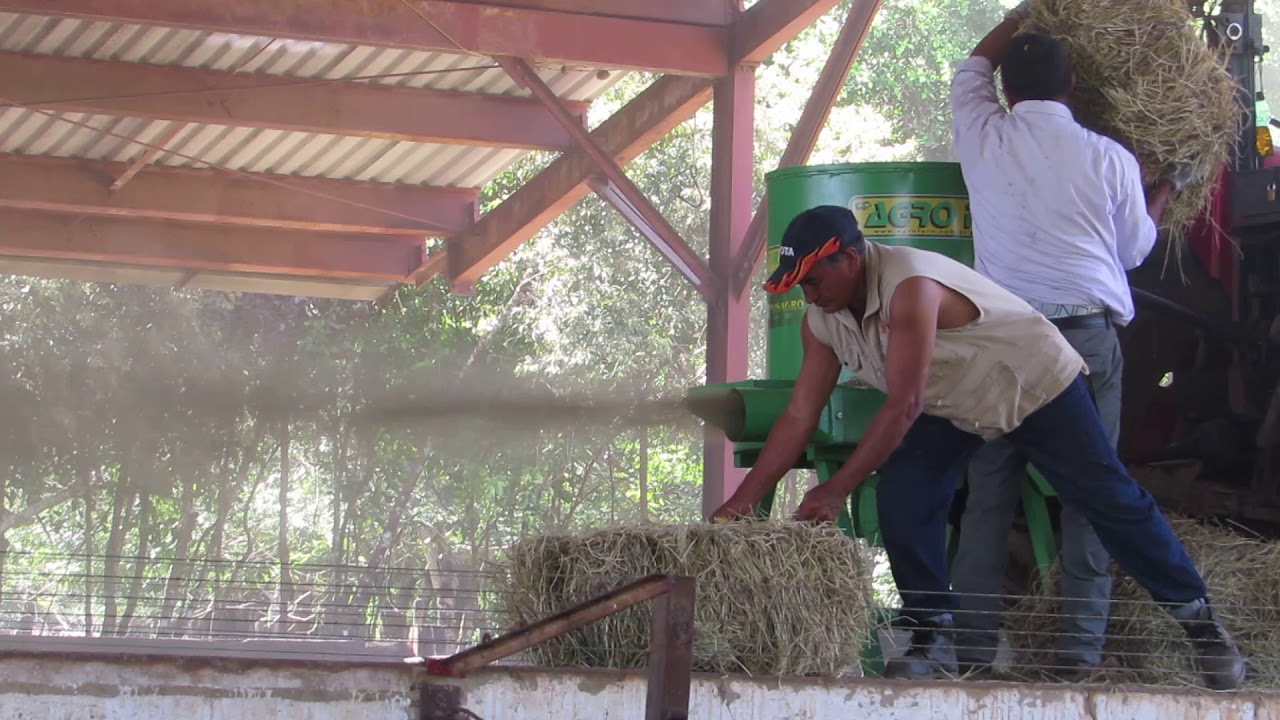 Picadora de heno Agroforn distribuida por Paisagro S.A.
