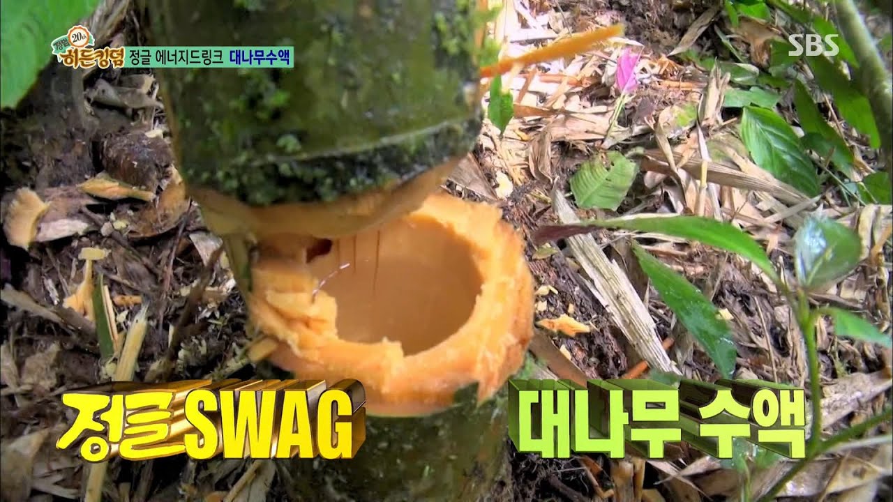 정글의 진정한 SWAG 대나무 수액 ＂이런 맛은 처음이야!＂  @정글의 법칙 173회 20150807