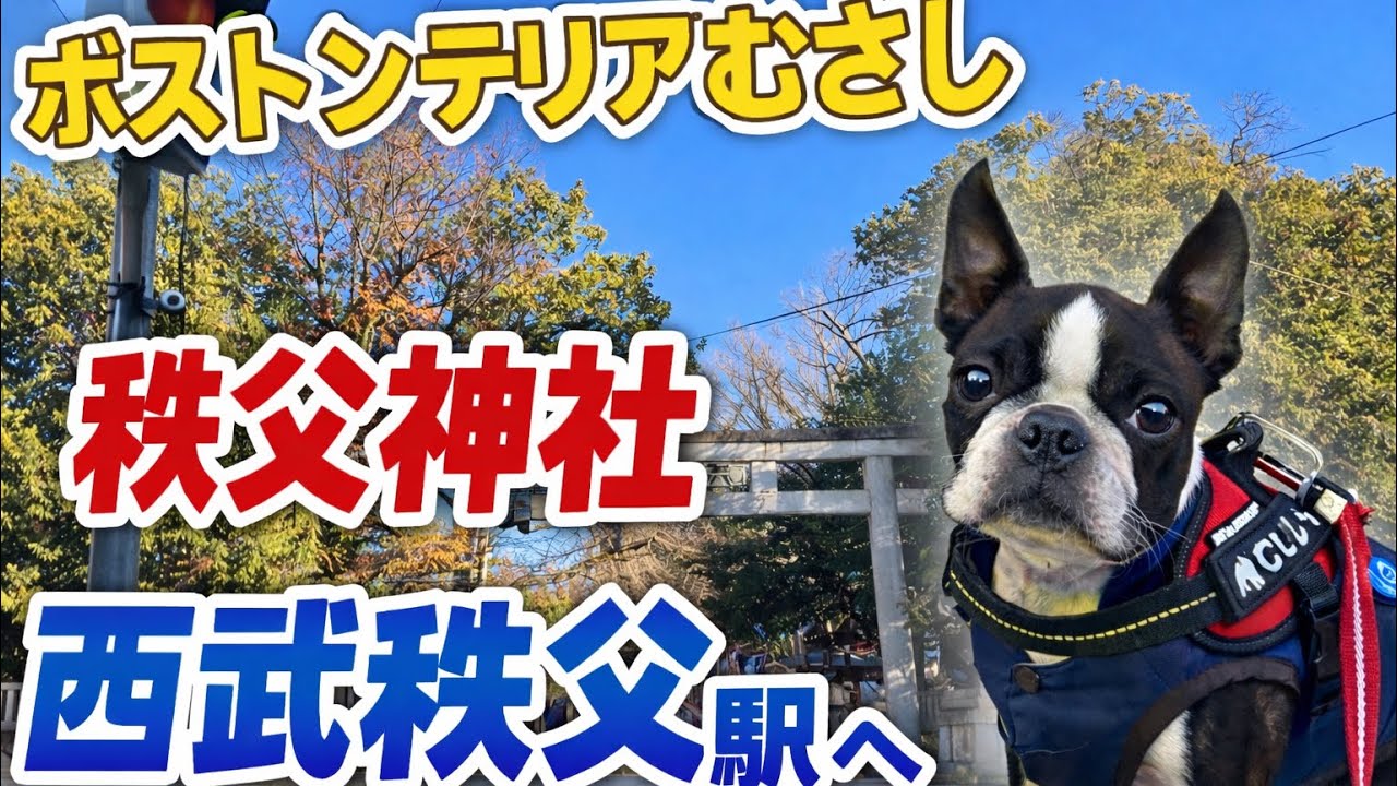 秩父神社、西武秩父駅へ　2026年元日　