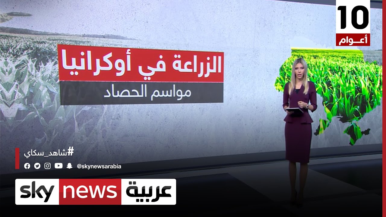الزراعة في أوكرانيا.. ومواسم الحصاد