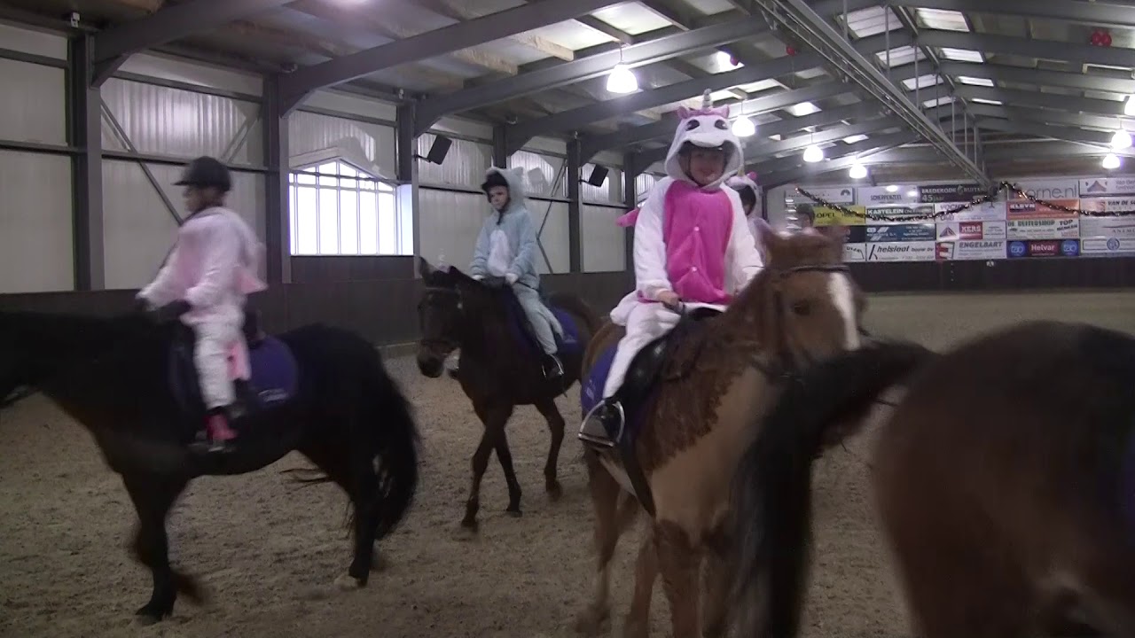 Stal Bosgoed Unicorns girls Kerst 2017