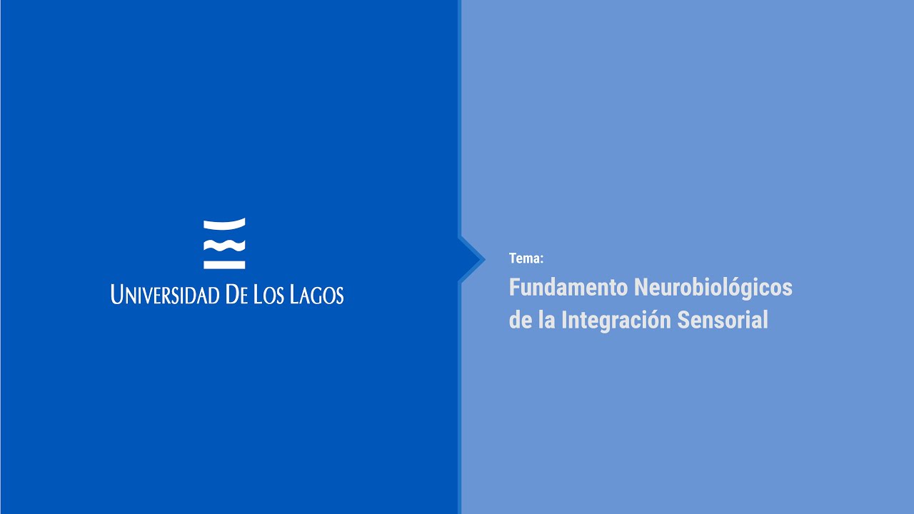 Fundamento Neurobiológicos de la Integración Sensorial