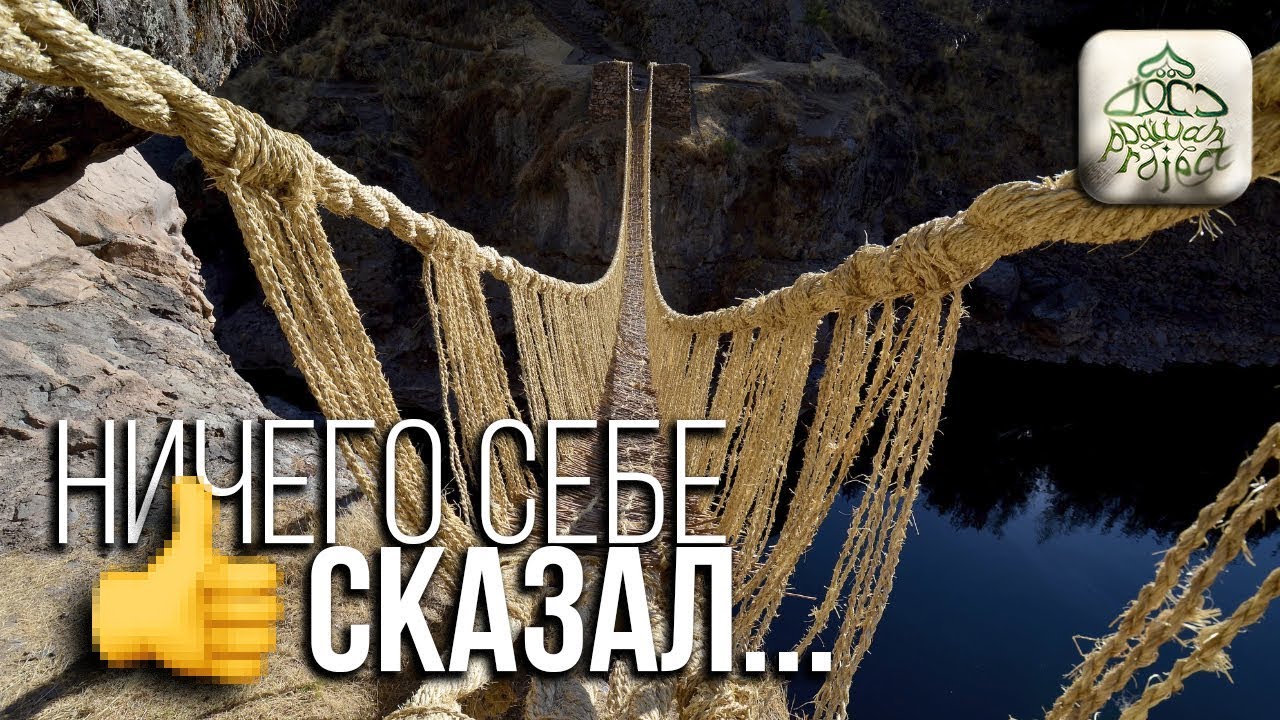 НИЧЕГО СЕБЕ СКАЗАЛ О ВЕЧНОЙ ЖИЗНИ! (ОТПАДНЫЙ ПРИМЕР)