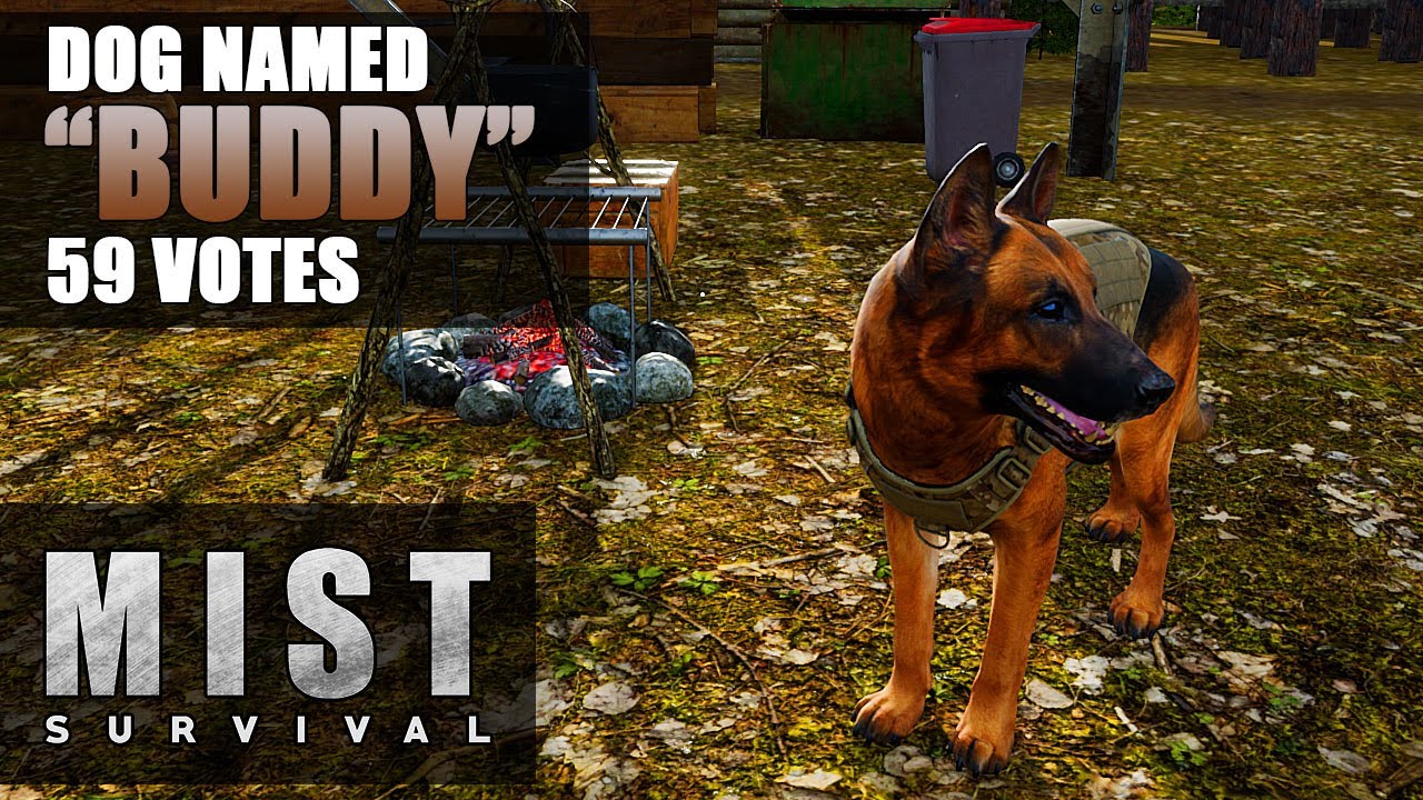 MIST SURVIVAL | CHAINSAW and my Dog 