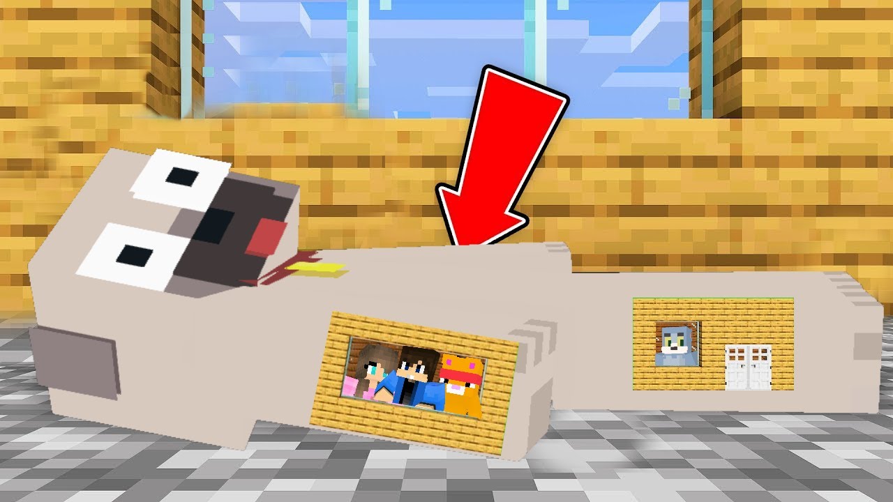 KIIS TESTÉBE KÖLTÖZTÜNK A MINECRAFTBAN!