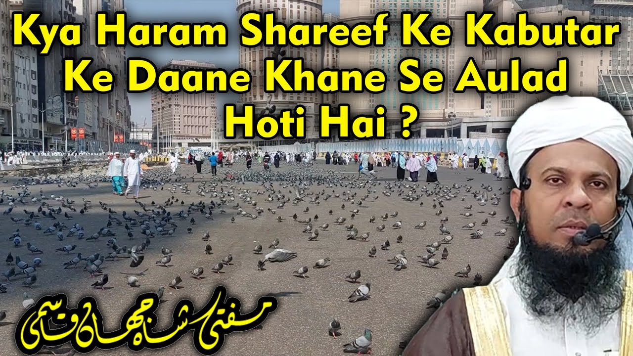 Kabutar Ke Dane Se Aulad Paida Hogi ? | Kabootar Chowk Makkah | Haram Shareef Ka Kabutar Chauk