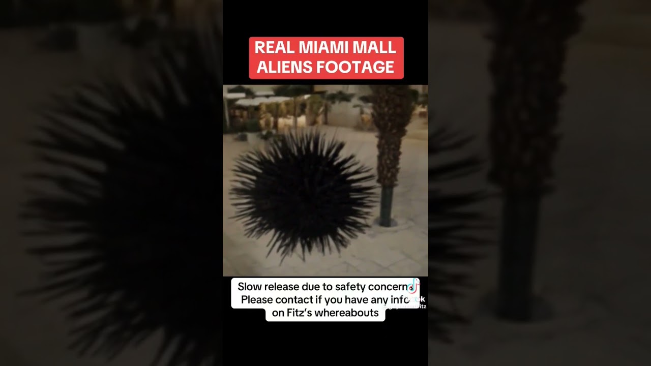 Real Miami Mall Aliens Footage
