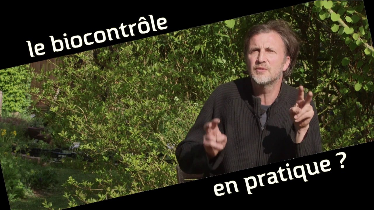 Le biocontr&ocirc;le c'est quoi ? Une nouvelle philosophie au jardin !