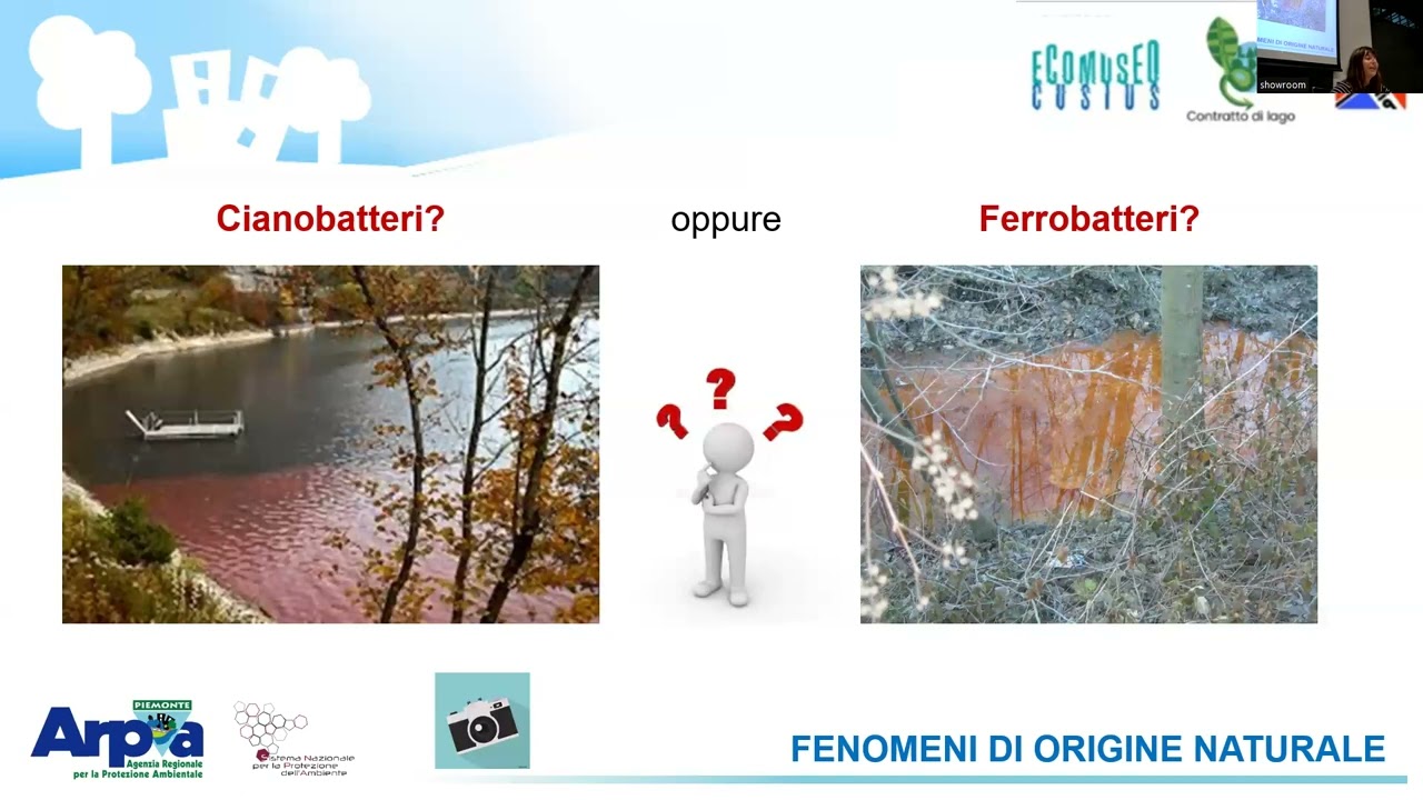 Attività di vigilanza e prevenzione ambientale modulo 3 - Monica Clemente, ARPA Piemonte