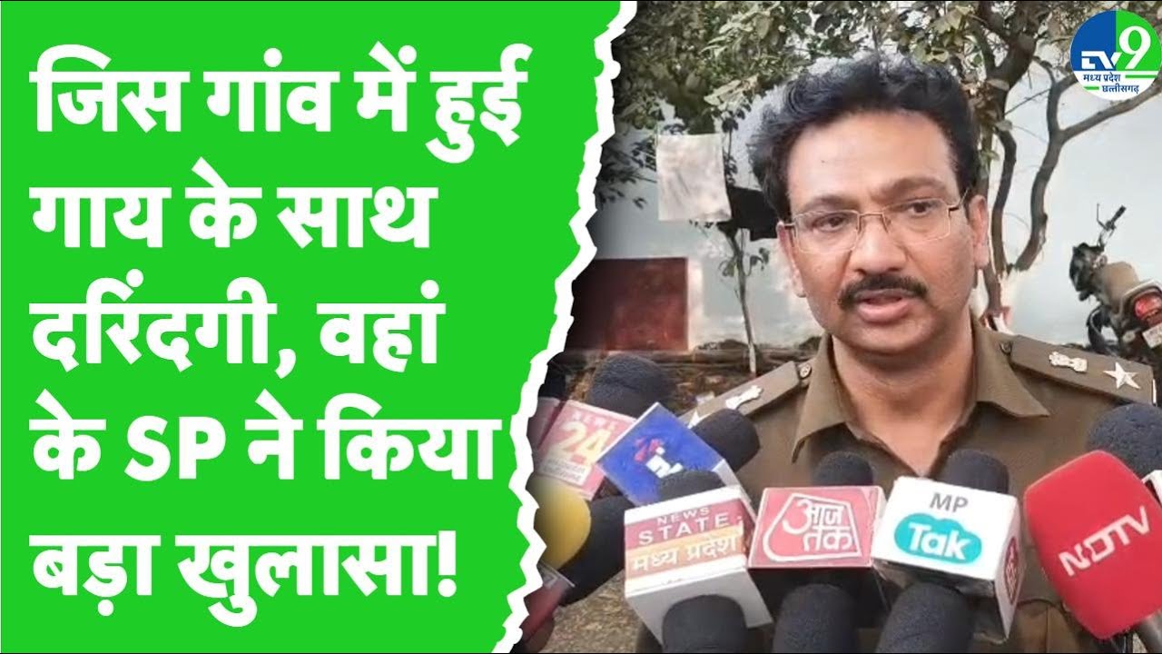 Betul News: जिस गांव में हुई गाय के साथ दरिंदगी, वहां के SP ने किया चौंकाने वाला खुलासा!