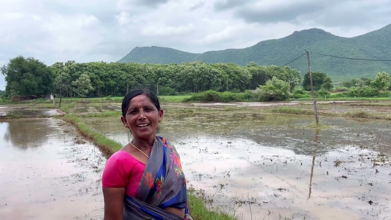 innocent Amma 🥰  | a village farmer daily life | #farming