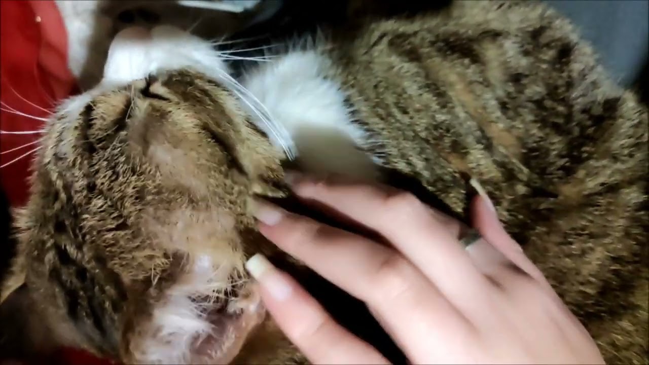 Bare long nails and pretty hand by our model Jadez (december 2022)