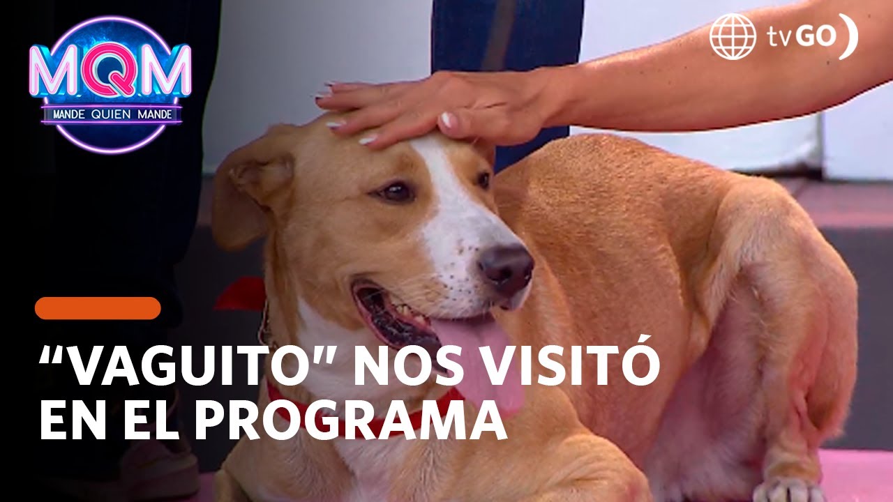 Mande Quien Mande: 