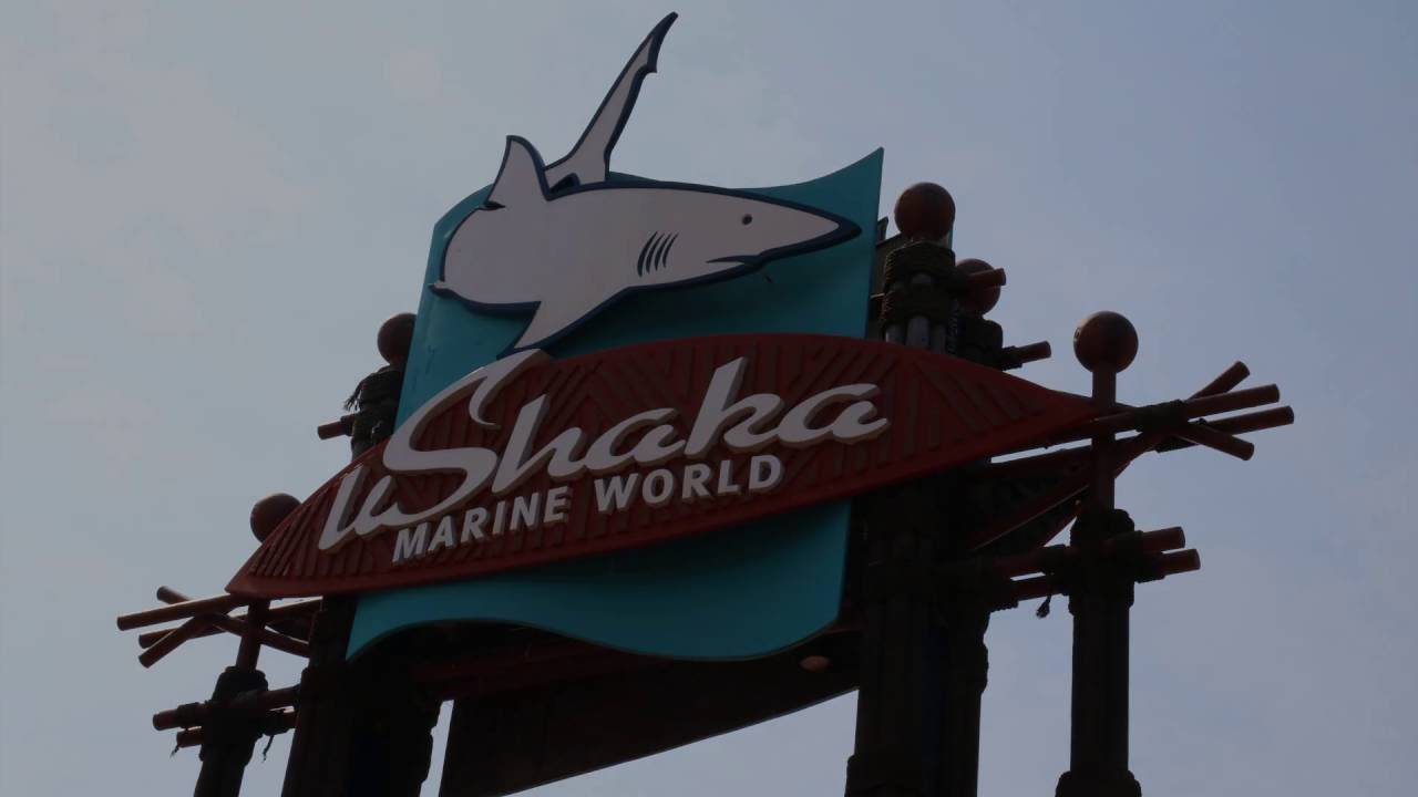 Our Day at UShaka