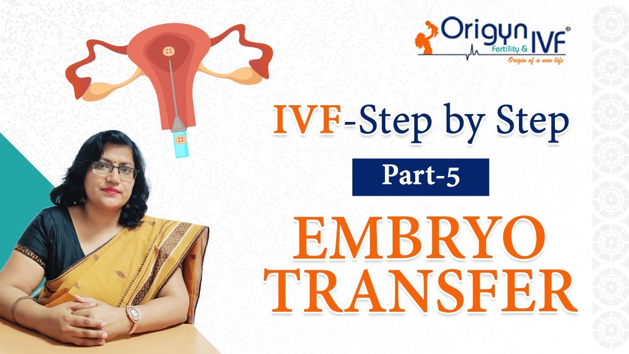IVF Procedure - Step by Step | Part 5 | Hindi l Embryo Transfer into the Uterus