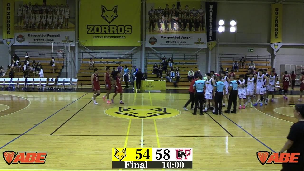 Zorros CETYS Universidad vs Panteras UP CDMX - LIga ABE D1 Varonil