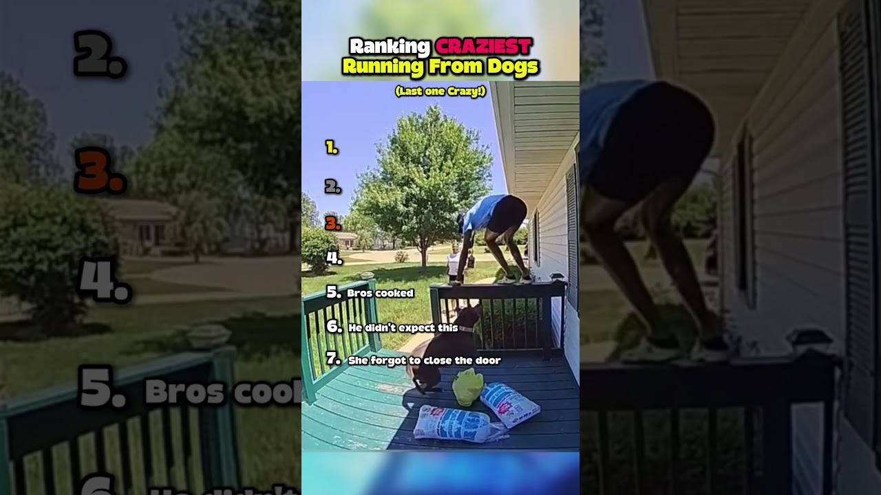 Ranking CRAZIEST Running From Dogs Moments!!