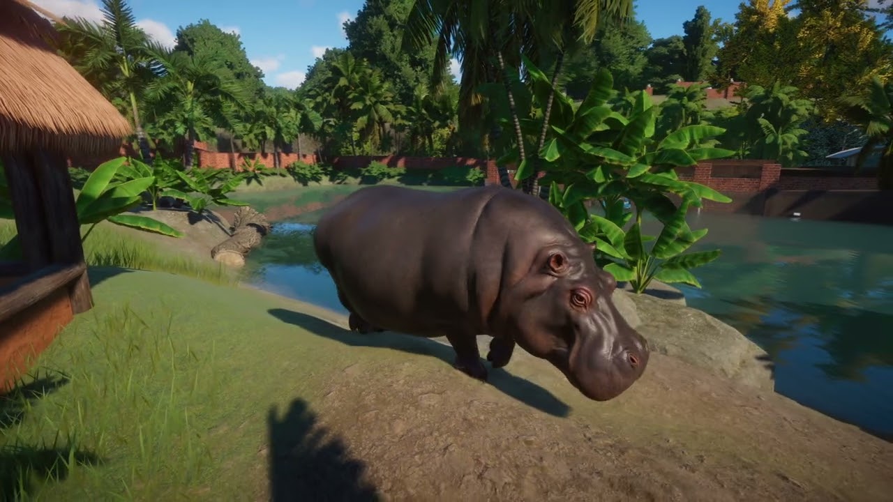 Hippopotamus | Planet Zoo Animals