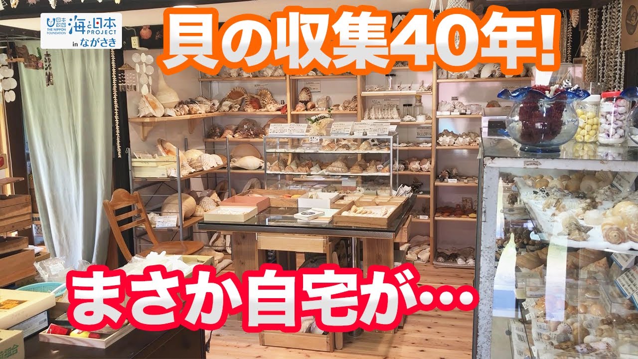 長崎県の野母崎地区に小さな貝殻の博物館「貝の家」がオープン！ 日本財団 海と日本PROJECT in ながさき 2022 #05