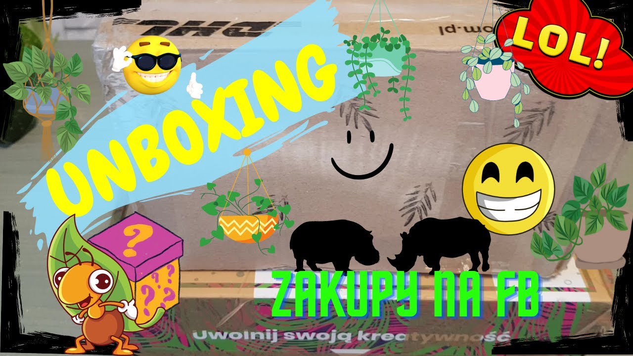 roślinny unboxing z FB philodendron plowmanii verrucosum Tambillo syngonium Green Beauty, Neon Arrow