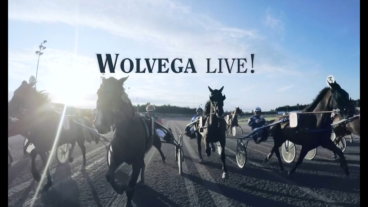 Wolvega Live