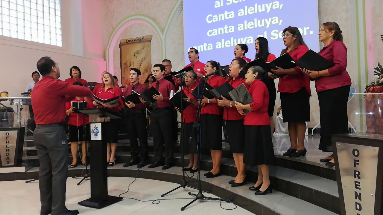 Canta Aleluya Al Señor