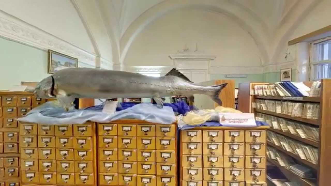 Видео-тур по ВНИРО