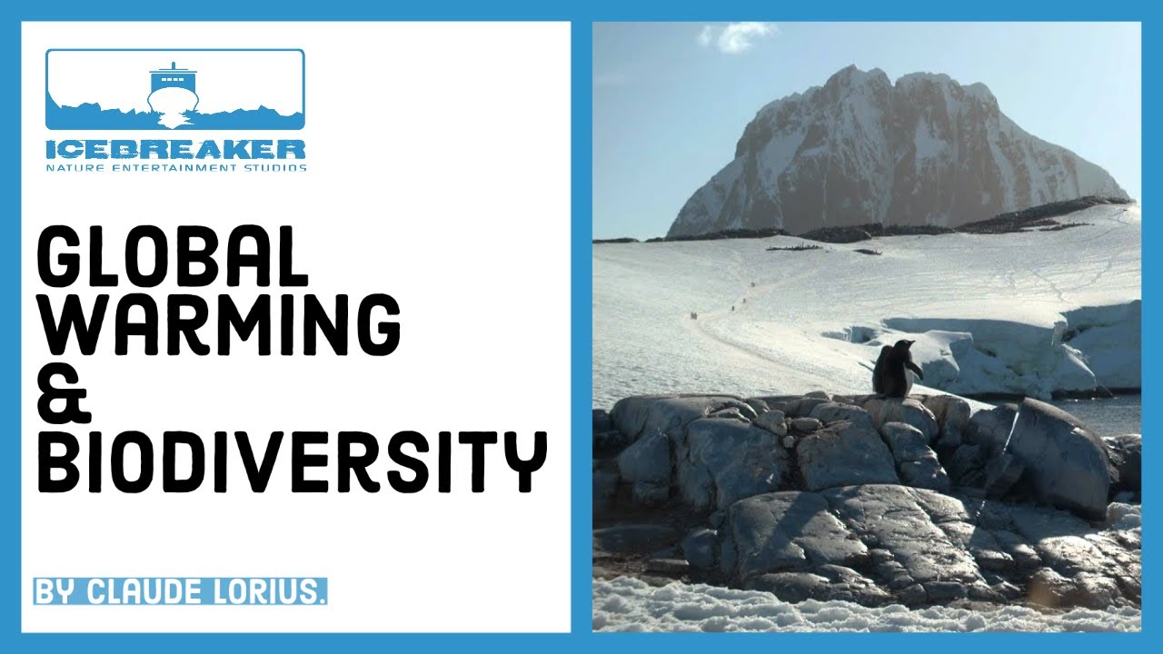 #13: How does global warming affect biodiversity?