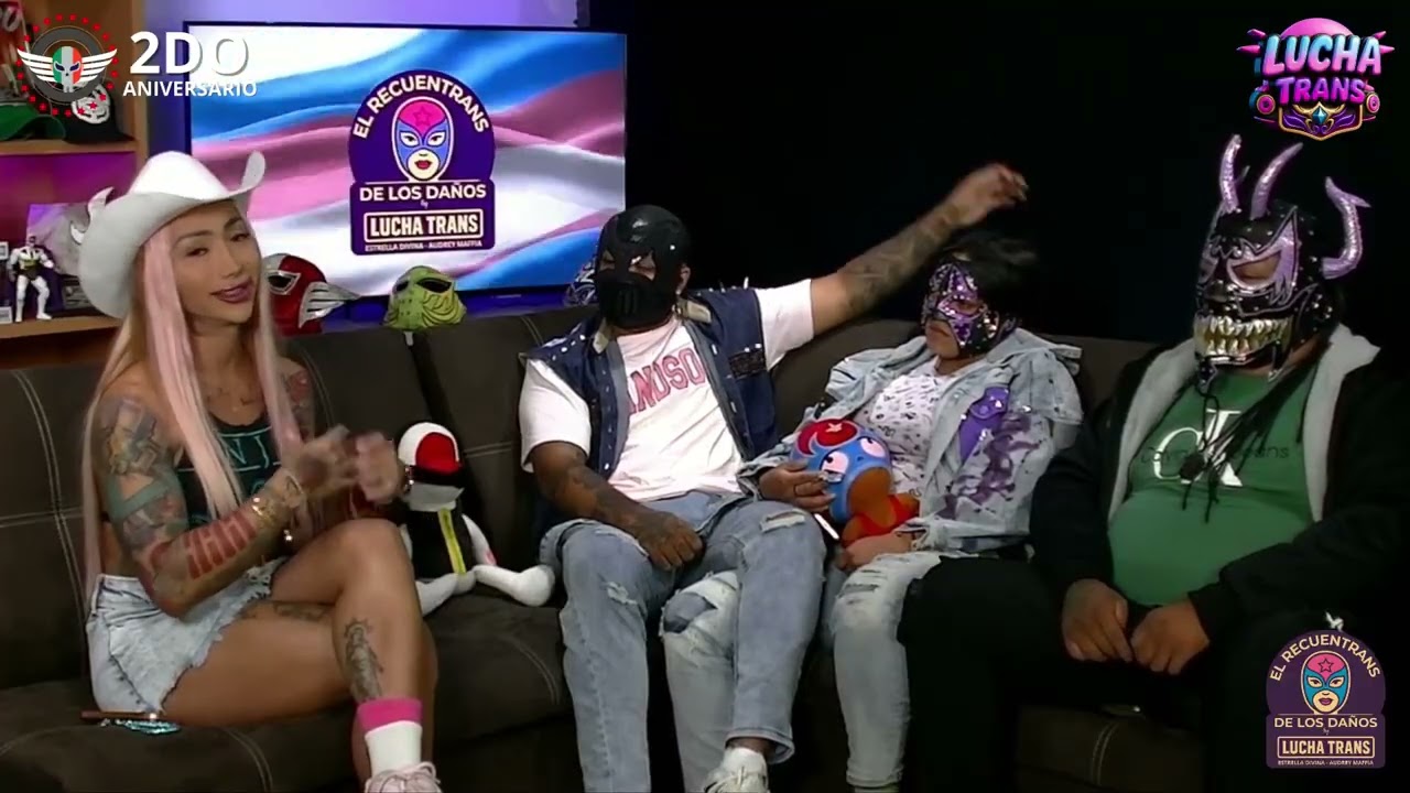 EL RECUENTRITRANS DE LOS DA&Ntilde;OS (LUCHA TRANS)