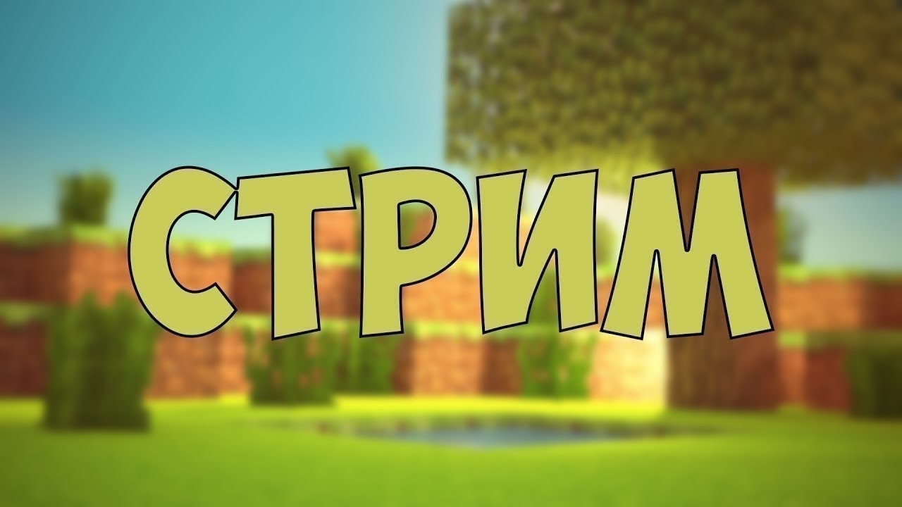 Играю в Minecraft c подписчиками на сервере !