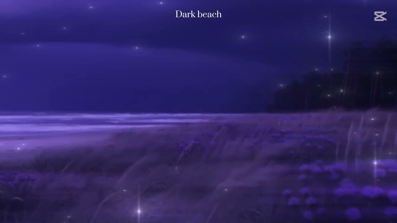 Dark beach #sadsong #darkbeach @muhammadjonvideos #uzbekistan #phonk #music #topvideo #bmws1000rr 