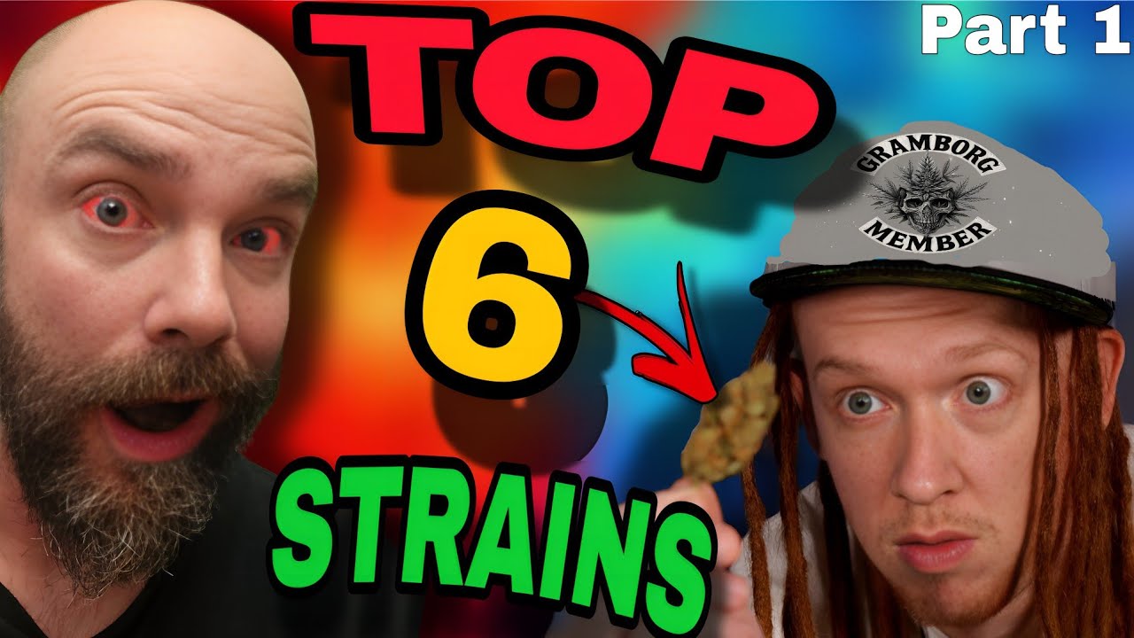 В программе GRAMBO & Strain Show Мэтт рассказывает о 6 обязательных для выращивания сортах каннаб...