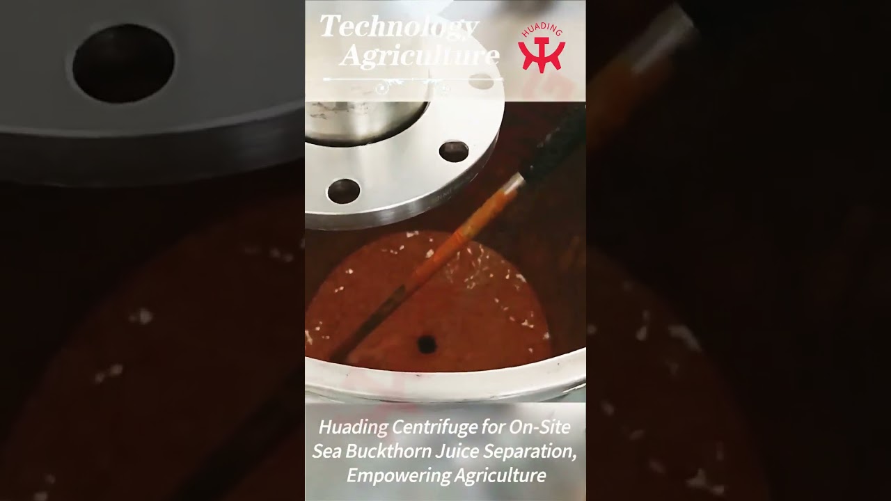 Sea Buckthorn Juice Purification with HUADING Separator Centrifuge  #factory #food #manufacturing