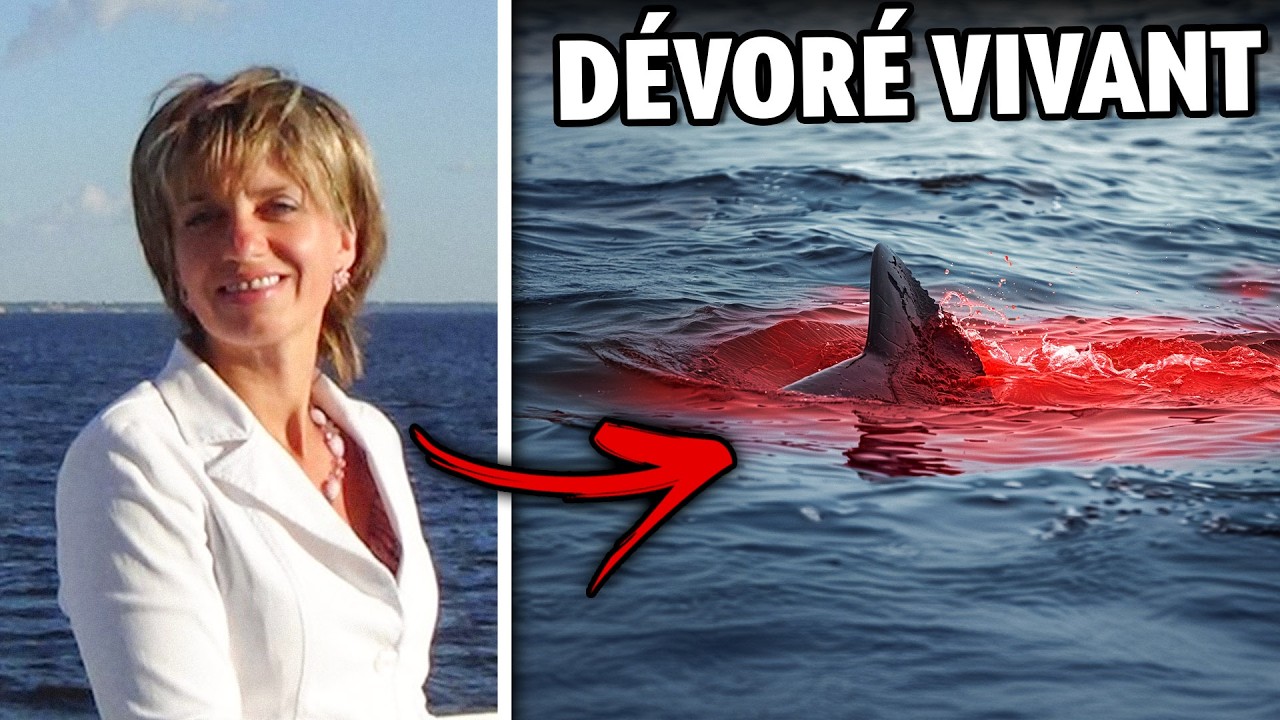 5 Attaques de Requins Les Plus Terrifiantes de L'ann&eacute;e en Australie...