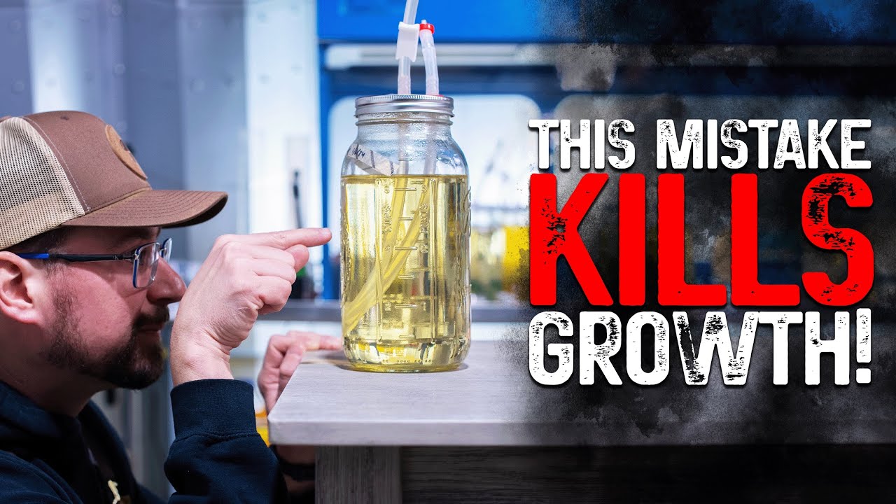 Why Your Mushrooms Won’t Grow & How to Fix It – Liquid Culture, Grain Spawn & Fruiting Secrets