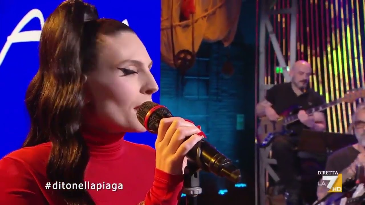 Ditonellapiaga - 