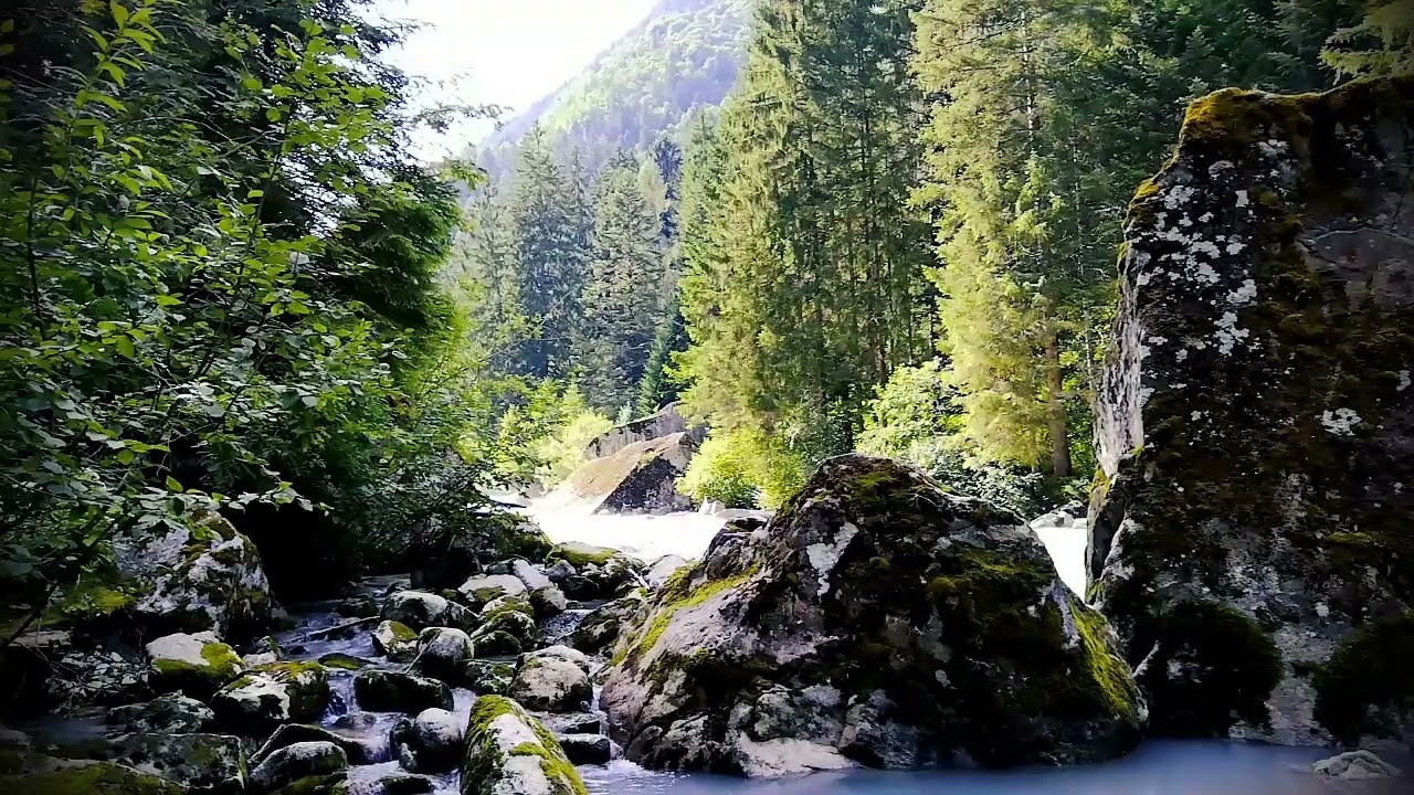ЗВУК ПТИЦ И ПТИЦ для расслабления🏞️Звуки ПРИРОДЫ, бегущая вода, Ручей для расслабления и сна
