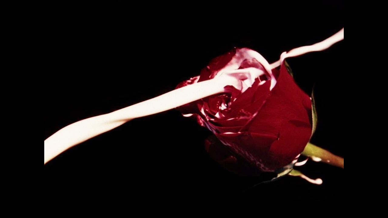 Hocico – Sex Sick // ultra slowed + reverb