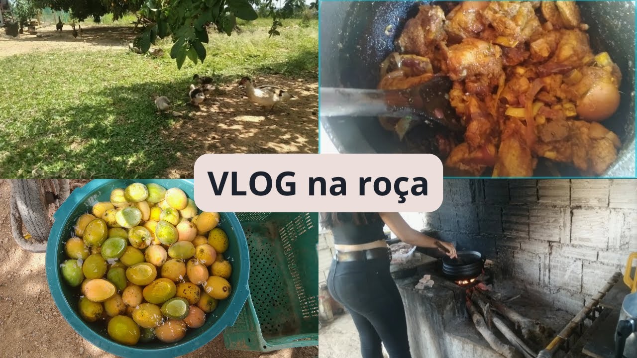VLOG NA ROÇA/ FEZ ALMOÇO NO FOGÃO A LENHA/ FEZ POLPA DE MANGA 🥭☺