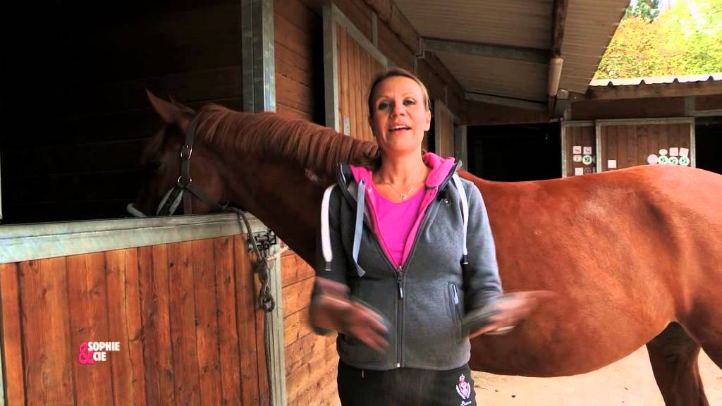 Comment se muscler à cheval ? Exemple avec le horseball