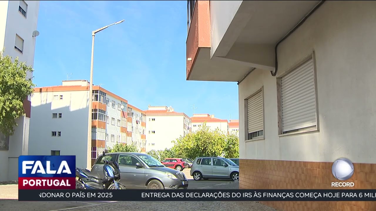 Baleada por engano em Set&uacute;bal