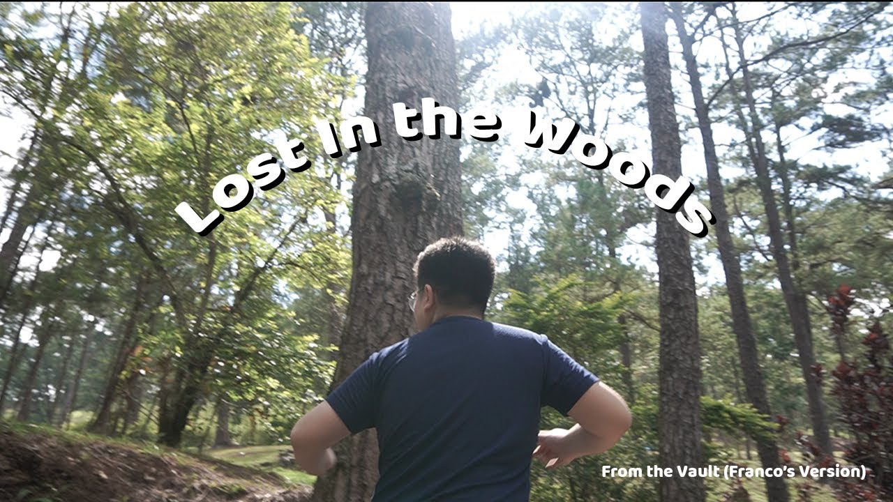 Lost In The Woods (Franco's Version) (From the Vault)