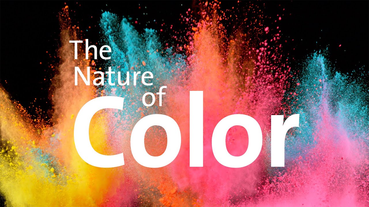 The Nature of Color | American Museum of Natural History