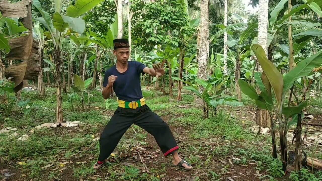 gabungan semua jurus buah kawung
