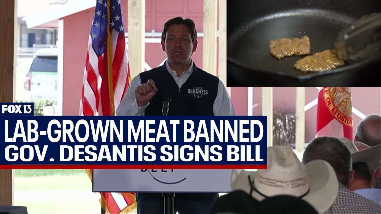 Lab-grown meat banned under new Florida law signed by Gov. DeSantis