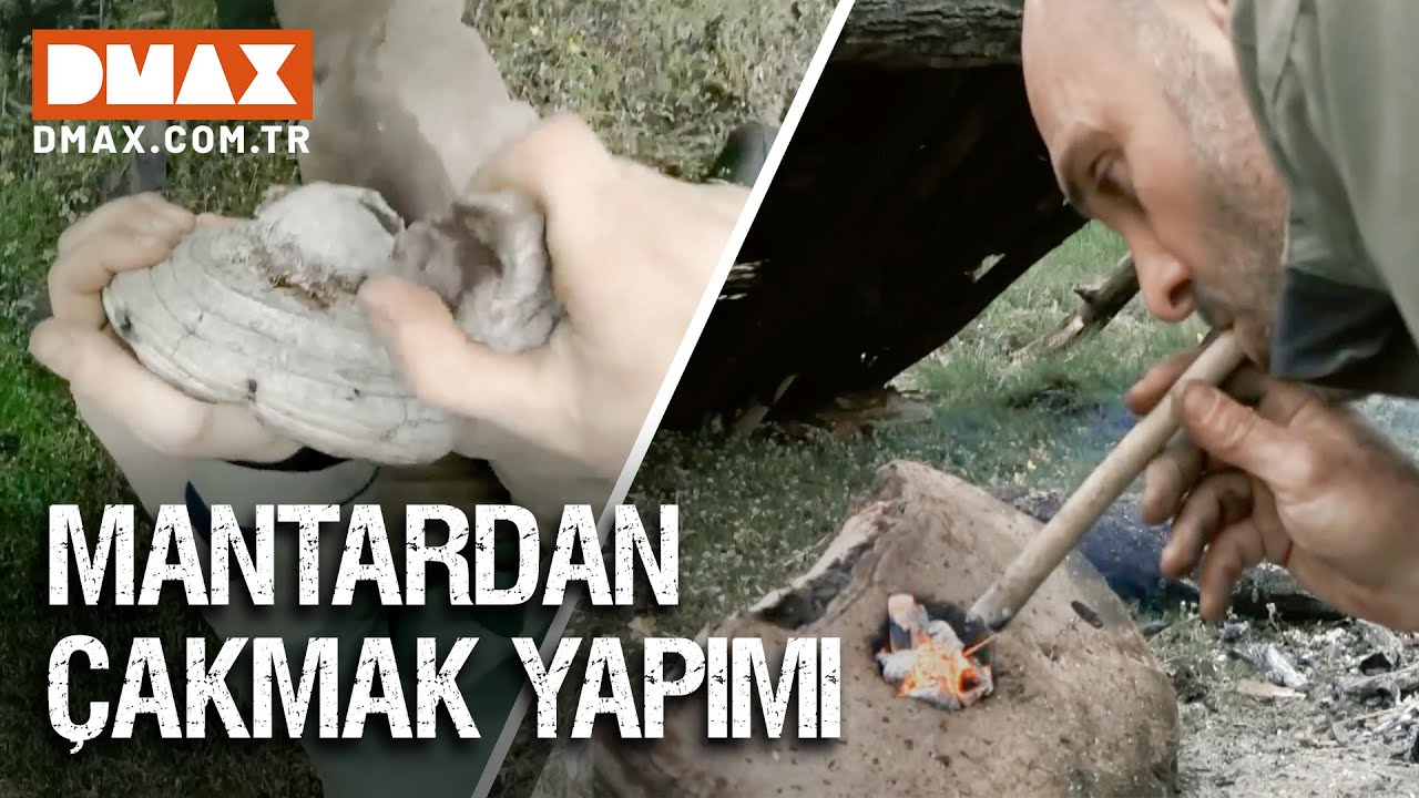 Ed, Mantardan &Ccedil;akmak Yapıyor | Ed Stafford İle Hayatta Kalmak