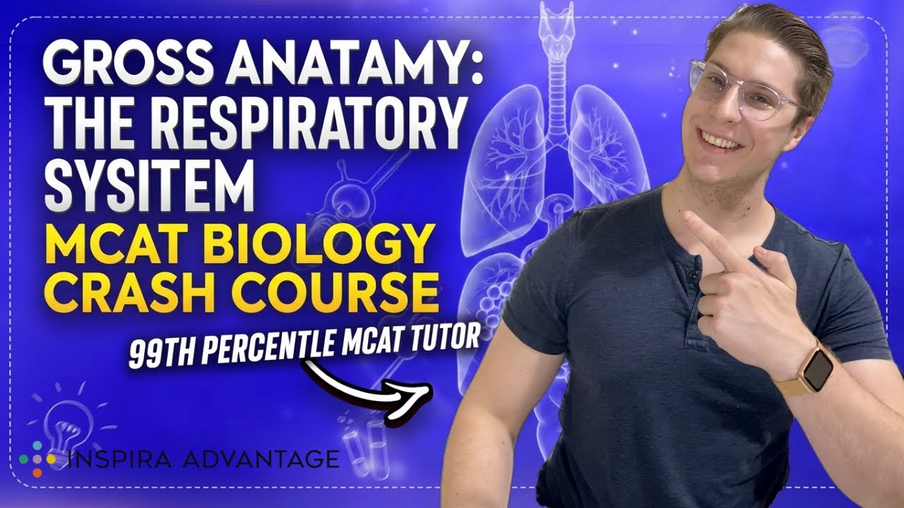 Gross Anatomy: The Respiratory System Explained | MCAT Biology Crash Course