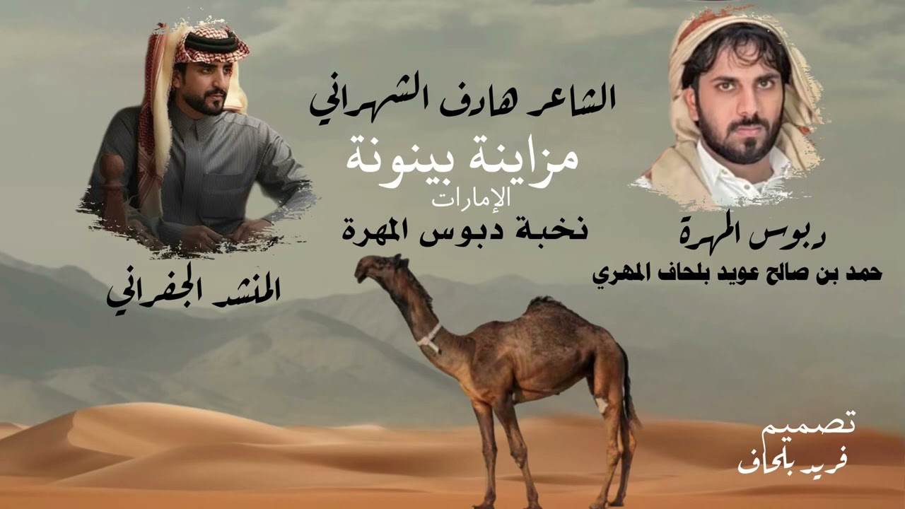 الجفراني ٢٠٢٥_ نخبة دبوس المهرة _# مزاينة بينونه الظفرة