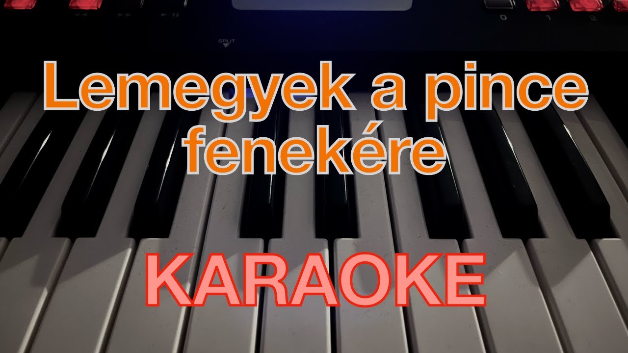 Lemegyek a pince fenekére (KARAOKE) - Roland BK-3