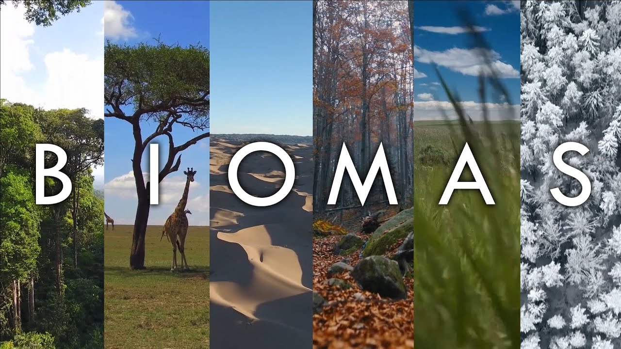Biomas - Los paisajes vivos de la Tierra, Introducci&oacute;n a los biomas del mundo, Geodiode